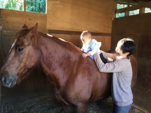 全集中の 赤ちゃん 初めて馬に乗る ホーストレッキングファーム三浦海岸