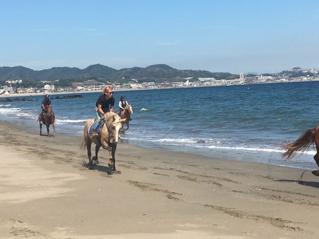 スタッフ紹介 ホーストレッキングファーム三浦海岸